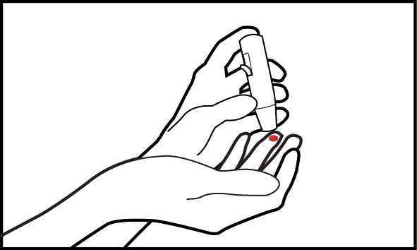 Dùng kim hoặc bút lấy máu (lancet) lấy một vài giọt máu ở ngón áp út, sau đó thấm vào tăm bông hoặc giấy thấm chuyên dụng.