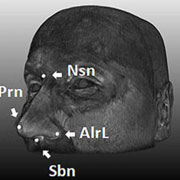 Tạo hình gương mặt từ gen. Ảnh: PLoS Genetics