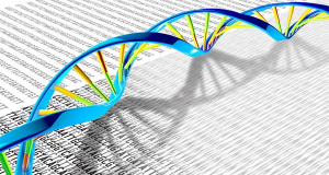 Một hướng tiếp cận mới về mối liên kết giữa đột biến và bệnh di truyền